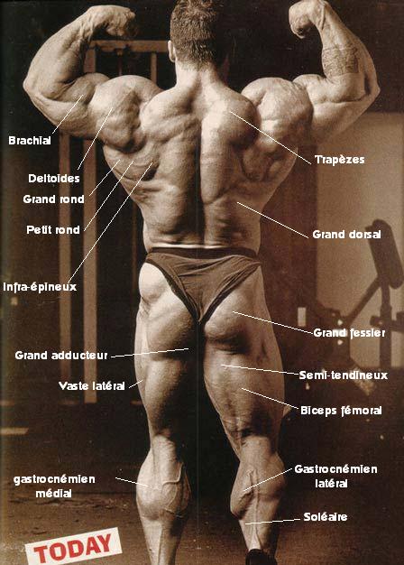dorian_yates_068.jpg