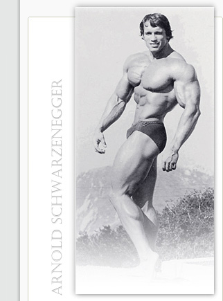 schwarzenegger.jpg